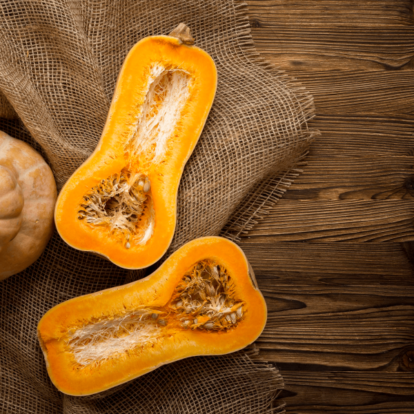 Zucca