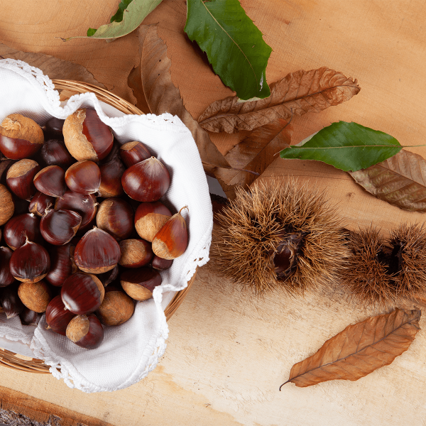 Castagne