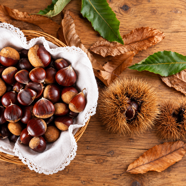 Castagne